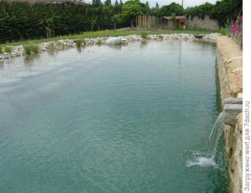 Дизайн дачного участка с бассейном. Новый тренд в садовом дизайне — ландшафтные бассейны