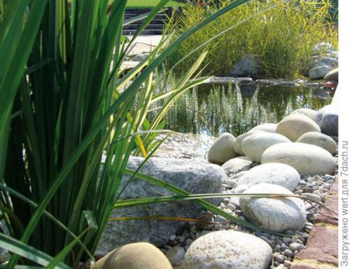 Дизайн дачного участка с бассейном. Новый тренд в садовом дизайне — ландшафтные бассейны