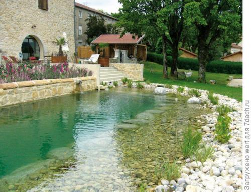 Дизайн дачного участка с бассейном. Новый тренд в садовом дизайне — ландшафтные бассейны