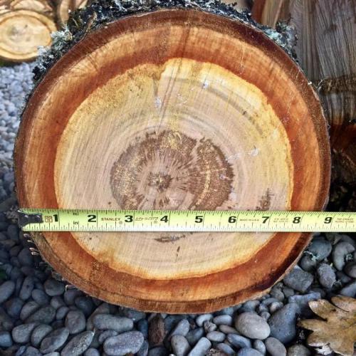 Полы из спилов дерева. Пол из спилов дерева своими руками 12