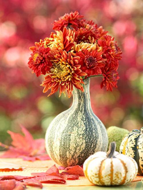 Ваза из тыквы с цветами. Как сделать вазу из тыквы