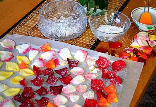 Лепестки роз применение. Целебные свойства садовой розы