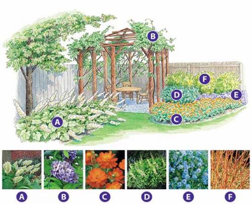Проект формы клумб. Как сделать красивую клумбу: 15 схем для цветника