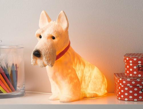 Как выбрать ночник для ребенка. Варианты выбора ночников под возраст ребенка