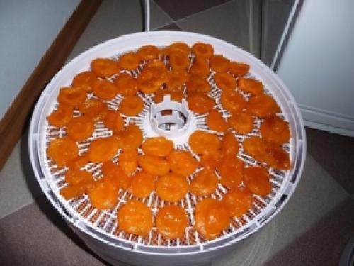 Для чего нужна сушилка для овощей и фруктов. Как правильно выбрать сушилку для фруктов и овощей 02