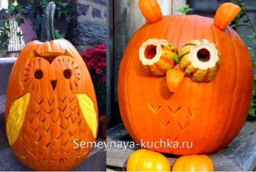 Композиции из тыквы своими руками. Поделки из ТЫКВЫ (84 фото) для сада и школы.