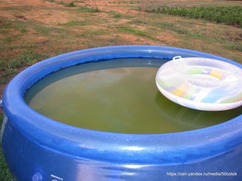 Бассейн в деревне. Опыт 4-х лет.