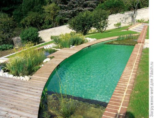 Дизайн дачного участка с бассейном. Новый тренд в садовом дизайне — ландшафтные бассейны
