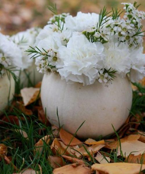 Ваза из тыквы своими руками пошаговое. Поделки из тыквы своими руками 22