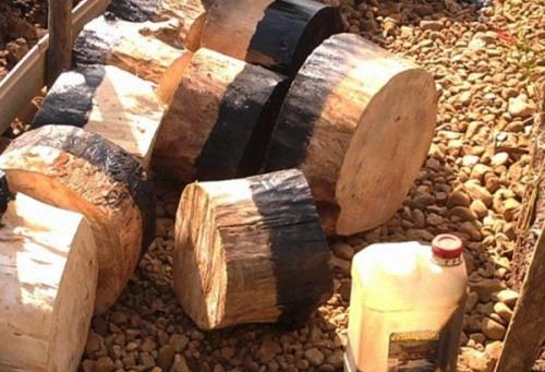 Что можно сделать из спилов дерева. Этап №1 – заготовка и обработка пеньков