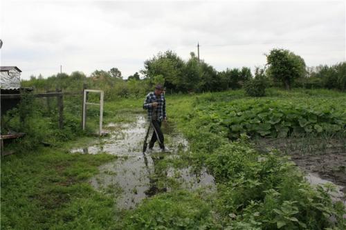 Вода на участке, как убрать. Как осушить сырой участок, не вложив ни копейки. Уникальный дренаж