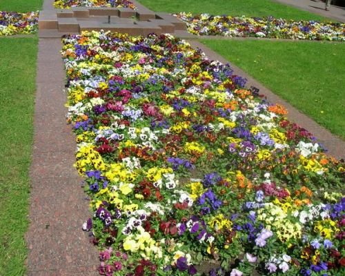 Клумбы геометрической формы