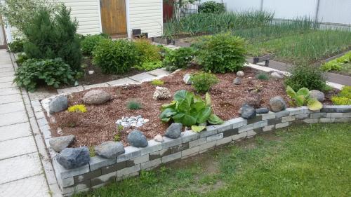 Проект цветущая клумба. Проект цветущей клумбы: фото До и После