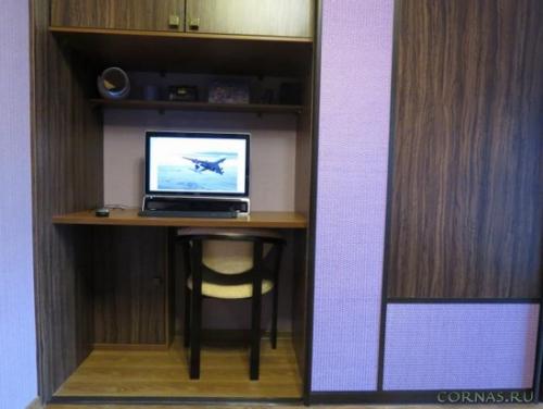 Шкаф купе в гостиной в интерьере. Шкаф-купе в гостиную 21