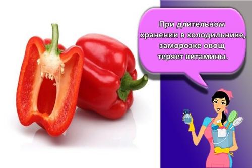 В чем хранить овощи. Как и где лучше хранить овощи в домашних условиях, правила и выбор температуры