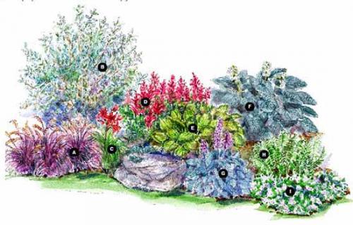 Проект формы клумб. Как сделать красивую клумбу: 15 схем для цветника