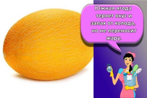 В чем хранить овощи. Как и где лучше хранить овощи в домашних условиях, правила и выбор температуры