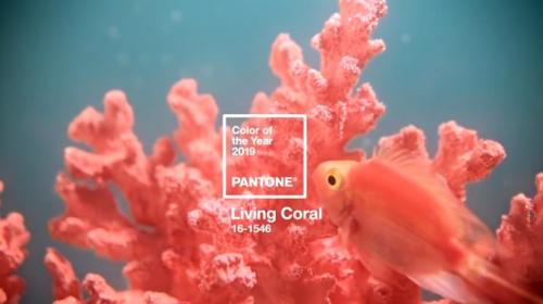 Цвет года 2019 Pantone. Цвет года Пантон 2019 — PANTONE 16-1546 Living Coral — Живой Коралл
