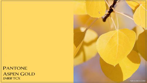 Цвет года 2019 Pantone. Модные цвета весны-лета 2019 по версии Пантон (Pantone). Какие из них подойдут вашей внешности