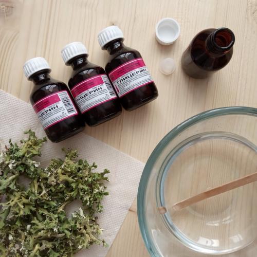 Стабилизированный мох своими руками