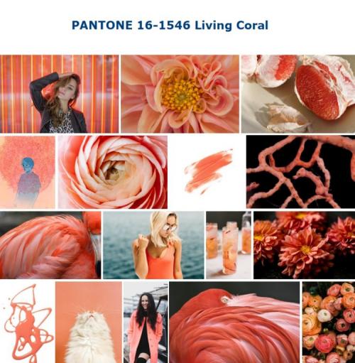 Цвет года 2019 Pantone. Модные цвета весны-лета 2019 по версии Пантон (Pantone). Какие из них подойдут вашей внешности 23
