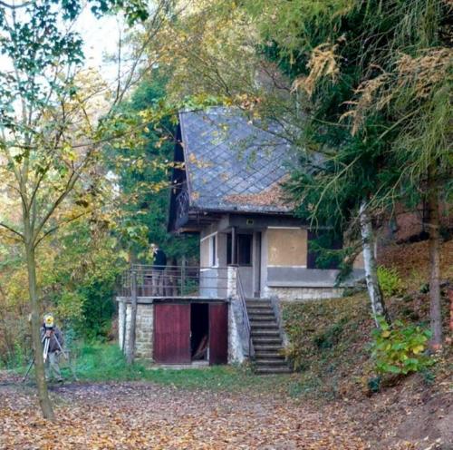 Дома на склонах. Дом на склоне (62 фото) — идеи создания креативного дизайна современного дома