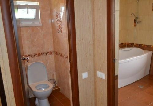 Какой санузел лучше раздельный или совмещенный в квартире. Ванная комната и туалет: вместе или раздельно. Как лучше?