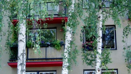 Как меняют окна. Менять окна или нет – 8 популярных ситуаций