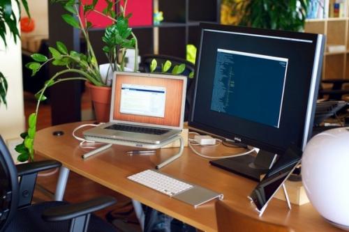 Фен-Шуй в офисе зоны. Фен-шуй в офисе: организация пространства