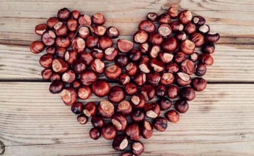 Поделки дары осени своими руками. Осенние поделки из даров природы