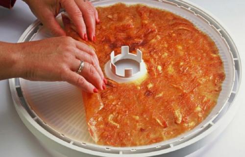 Сушилка для овощей и фруктов. ТОП-10 Лучших сушилок для овощей и фруктов: запасаемся витаминами на зиму правильно | Актуальный рейтинг 2019 года +Отзывы