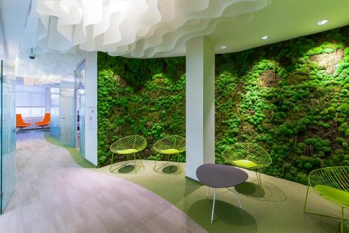 Украшения из мха. Где взять декоративный мох? 17