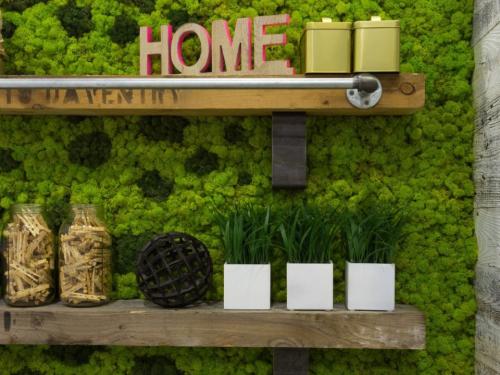 Украшения из мха. Где взять декоративный мох? 13