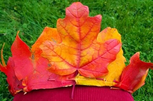 Осенние поделки пошагово. Поделки из листьев своими руками: лучшие осенние идеи