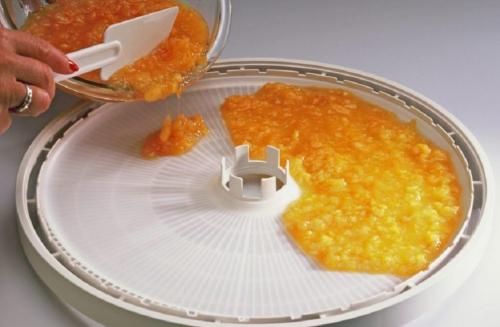 Сушилка для овощей и фруктов. ТОП-10 Лучших сушилок для овощей и фруктов: запасаемся витаминами на зиму правильно | Актуальный рейтинг 2019 года +Отзывы