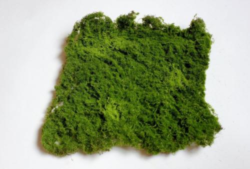 Украшения из мха. Где взять декоративный мох? 07