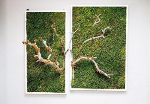 Украшения из мха. Где взять декоративный мох? 11