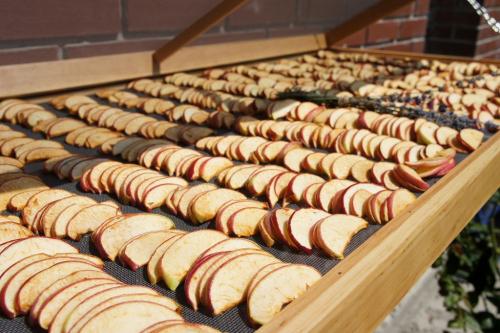 Как сушить фрукты в домашних условиях