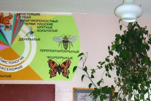 Что должно быть в кабинете. Фронтальная сторона класса 01 Что должно быть в кабинете. Фронтальная сторона класса 01