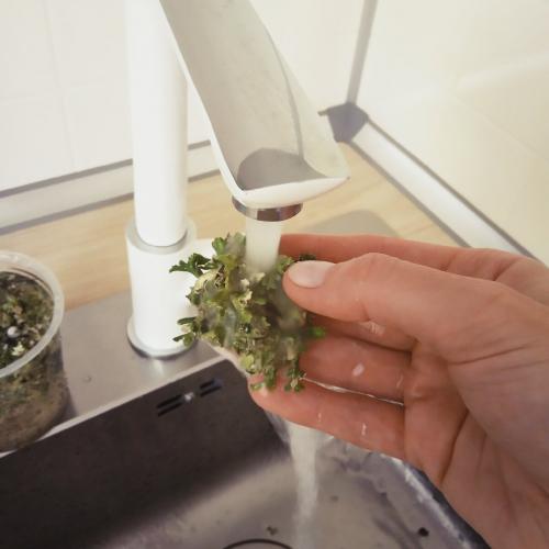 Стабилизированный мох своими руками