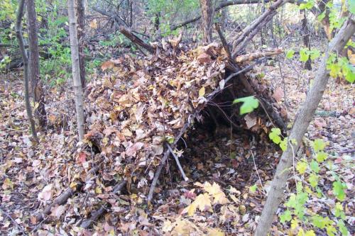 Как сделать шалаш в лесу. Как построить шалаш в лесу своими руками