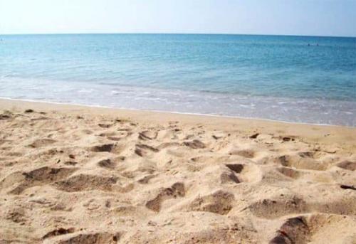 Пропорции цемента и песка в растворе. Цементно-песчаный раствор: соотношение песка и цемента при замесе смеси