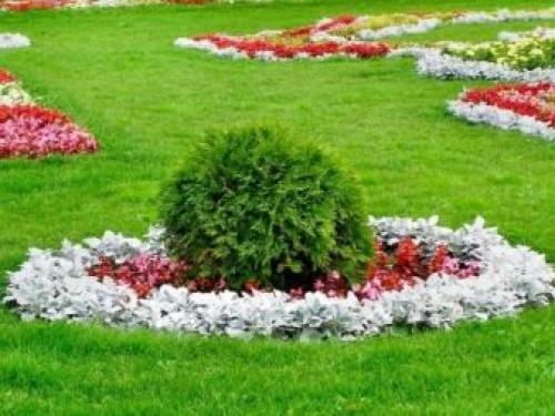 Газон перед домом дизайн. Красивый газон: фото идеи безупречного оформления газона своими руками 30 Газон перед домом дизайн. Красивый газон: фото идеи безупречного оформления газона своими руками 30