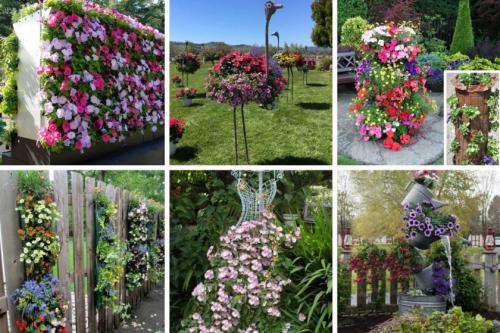 Как оформить небольшой участок земли цветами. Идеи и варианты ландшафтного дизайна на маленьком участке перед домом