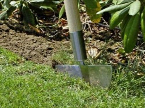 Газон перед домом дизайн. Красивый газон: фото идеи безупречного оформления газона своими руками 27 Газон перед домом дизайн. Красивый газон: фото идеи безупречного оформления газона своими руками 27