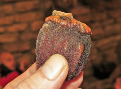 Мандариновые деревья в абхазии. Фрукты