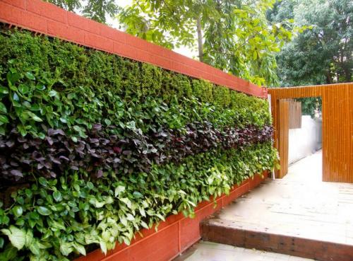 Как оформить небольшой участок земли цветами. Идеи и варианты ландшафтного дизайна на маленьком участке перед домом