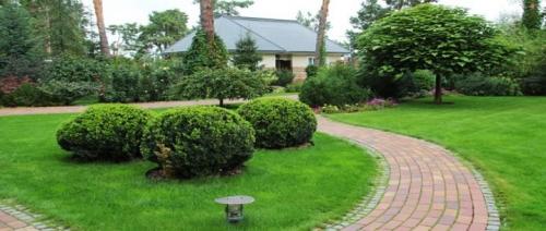 Газон перед домом дизайн. Красивый газон: фото идеи безупречного оформления газона своими руками 31 Газон перед домом дизайн. Красивый газон: фото идеи безупречного оформления газона своими руками 31