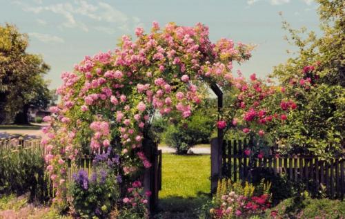 Как оформить небольшой участок земли цветами. Идеи и варианты ландшафтного дизайна на маленьком участке перед домом