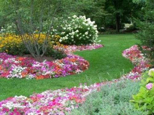 Газон перед домом дизайн. Красивый газон: фото идеи безупречного оформления газона своими руками 29 Газон перед домом дизайн. Красивый газон: фото идеи безупречного оформления газона своими руками 29